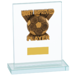 Quality Glass Most Improved Player Trophy