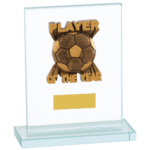 Quality Glass Player of the Year Football Trophy