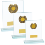 Quality Versatile Glass Trophy in Gold