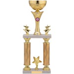 Gold Star Tube Trophy