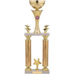 Gold Star Tube Trophy