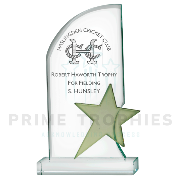 Gold Star Glass Trophy
