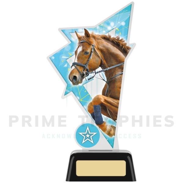 Horse Acrylic Award