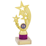 Pink Tubing Gold Star Trophy A