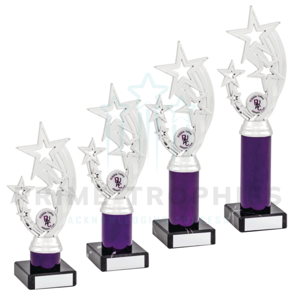Purple Tubing Silver Star Trophy