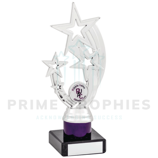 Purple Tubing Silver Star Trophy A