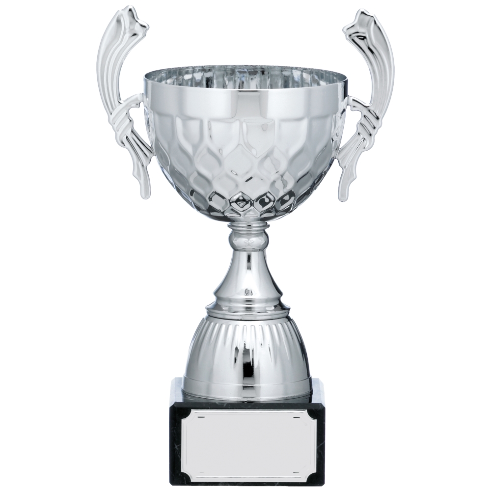 Silver Cup Trophy With Handles