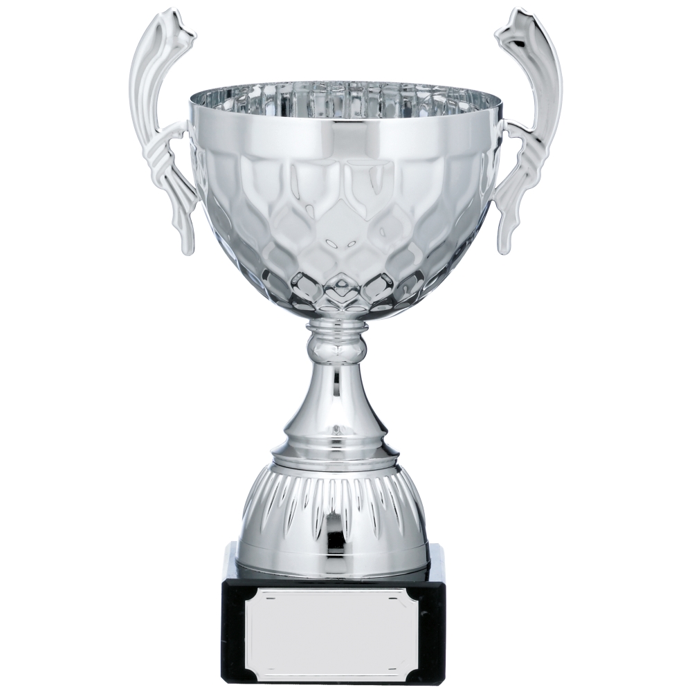 Silver Cup Trophy With Handles