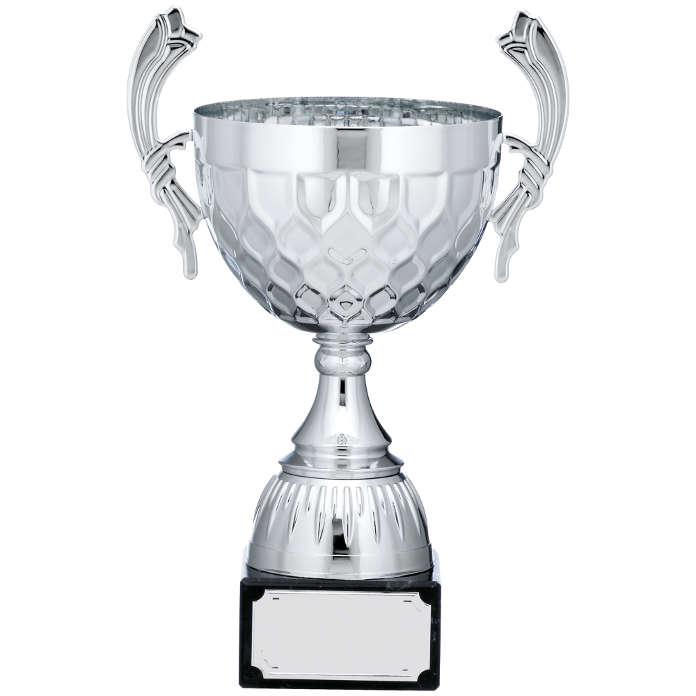 Silver Cup Trophy With Handles