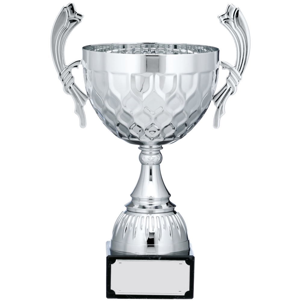 Silver Cup Trophy With Handles