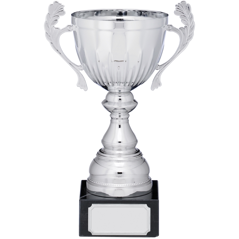 Silver Cup Trophy With Handles