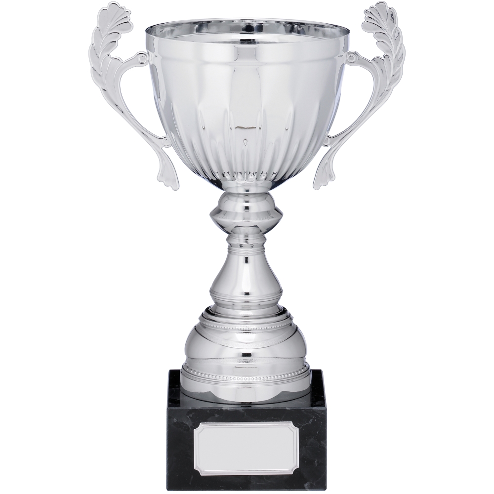 Silver Cup Trophy With Handles