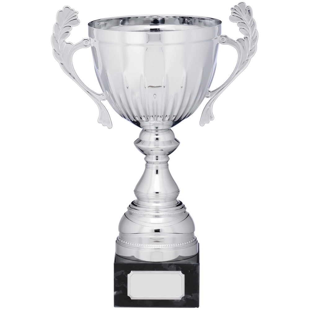 Silver Cup Trophy With Handles