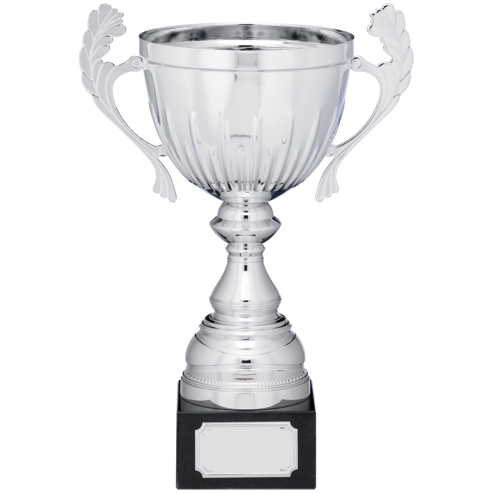 Silver Cup Trophy With Handles