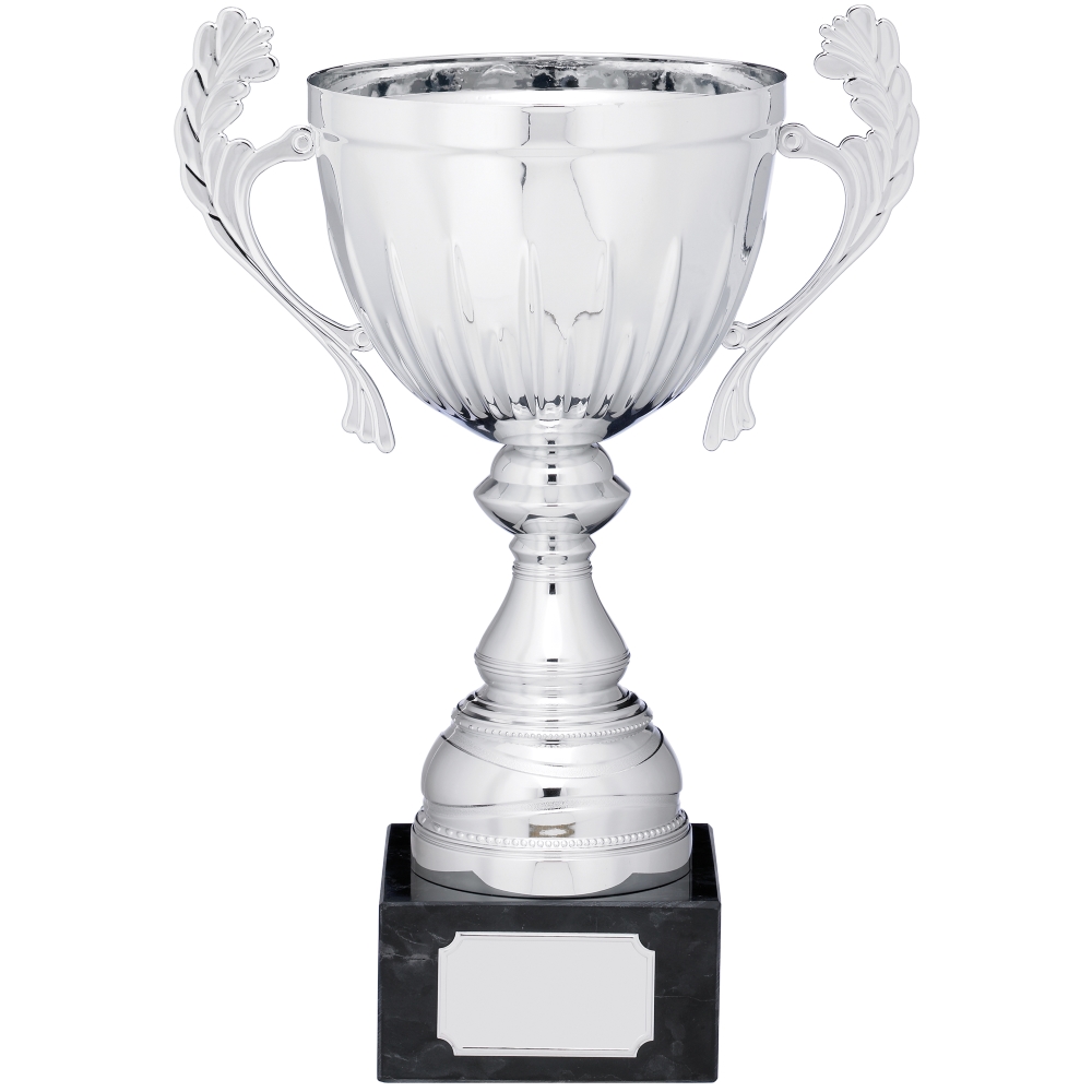 Silver Cup Trophy With Handles