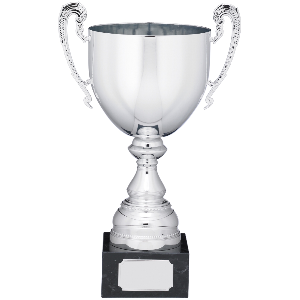 Silver Presentation Cup