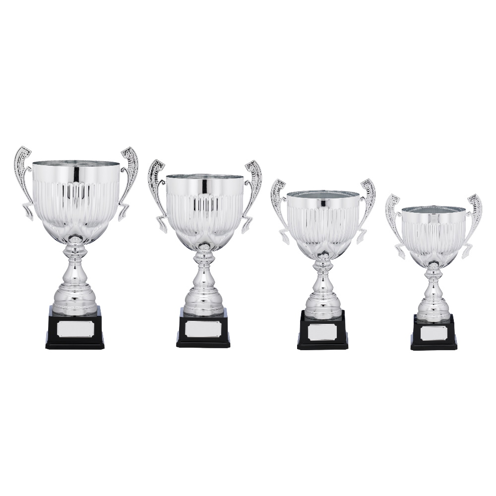 Tall Silver Presentation Cup