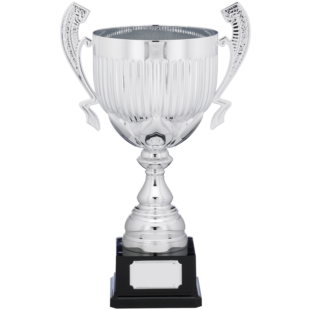 Tall Silver Presentation Cup