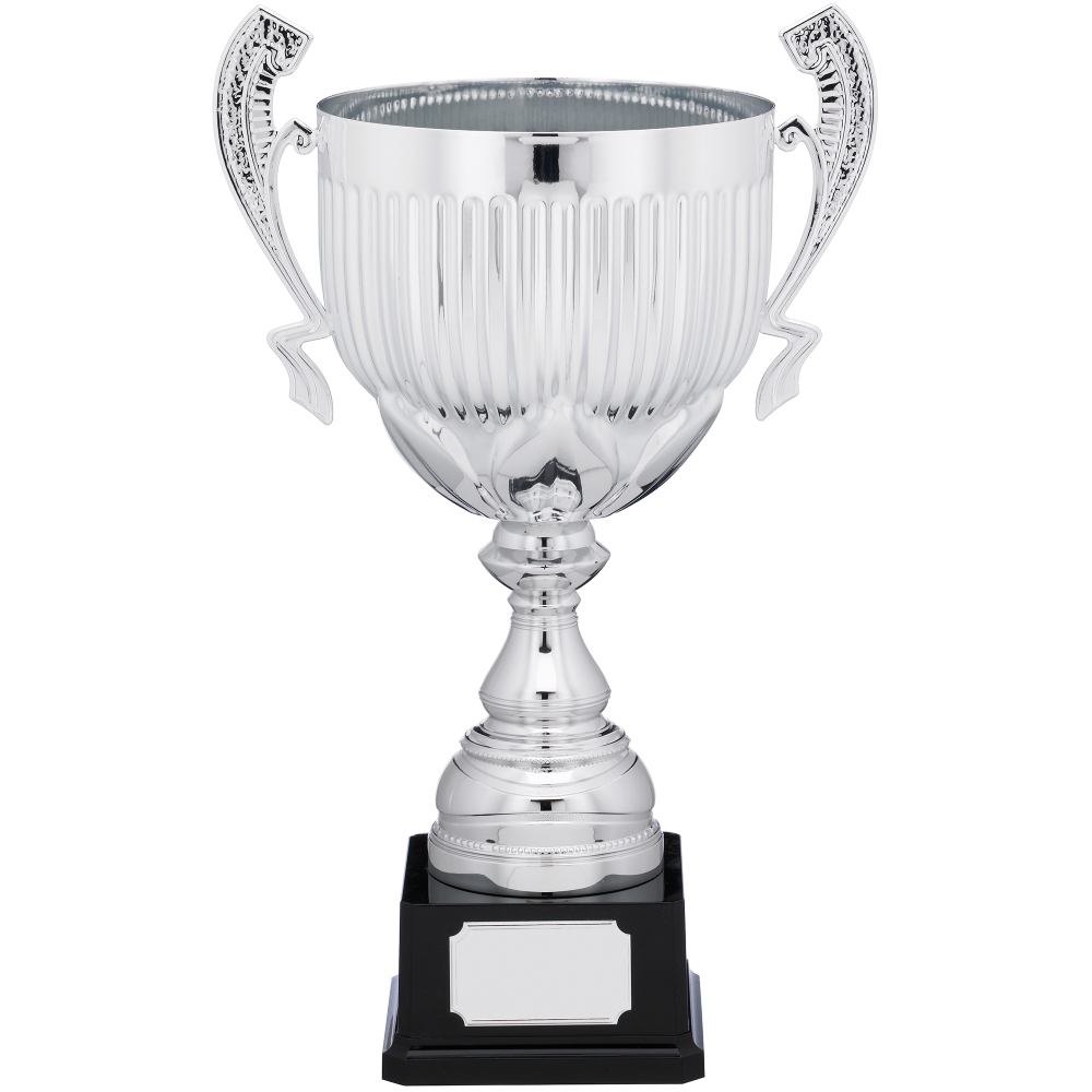 Tall Silver Presentation Cup