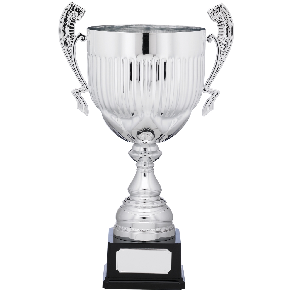 Tall Silver Presentation Cup