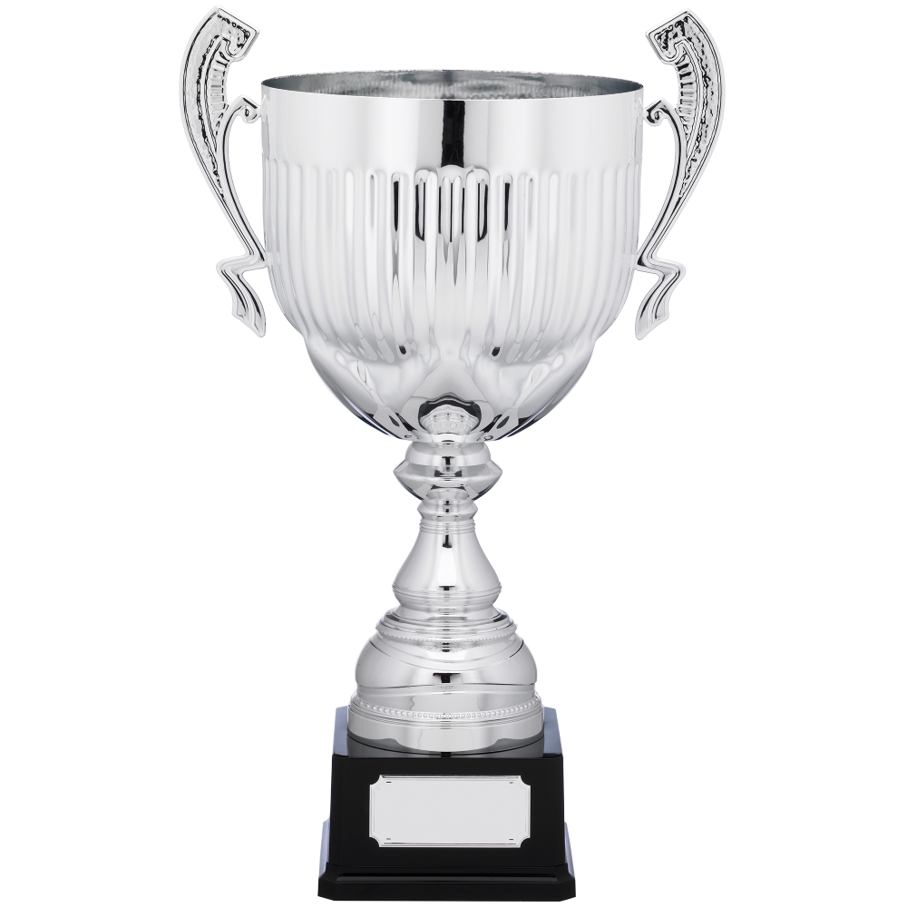 Tall Silver Presentation Cup