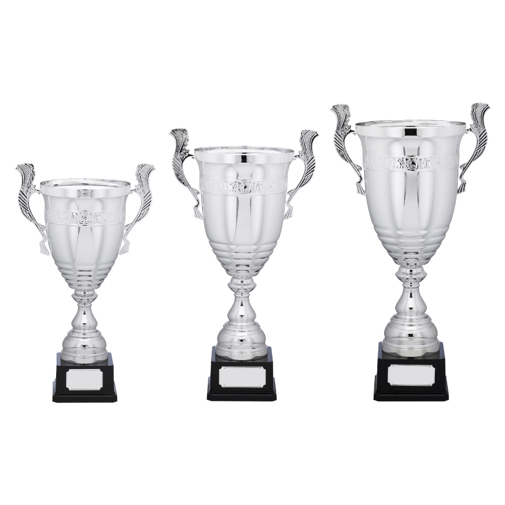 Premium Nickle Plated Presentation Cup