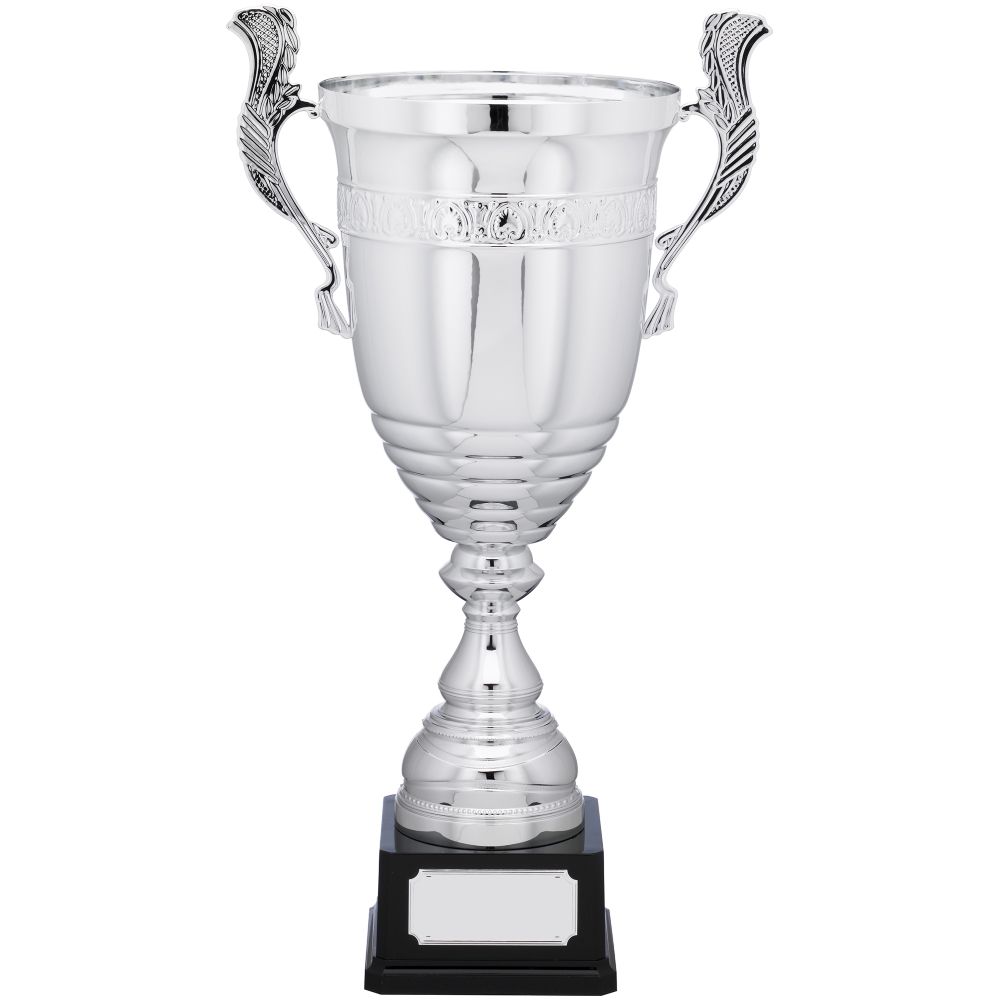 Premium Nickle Plated Presentation Cup