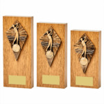 Golf Trophy Wooden Block