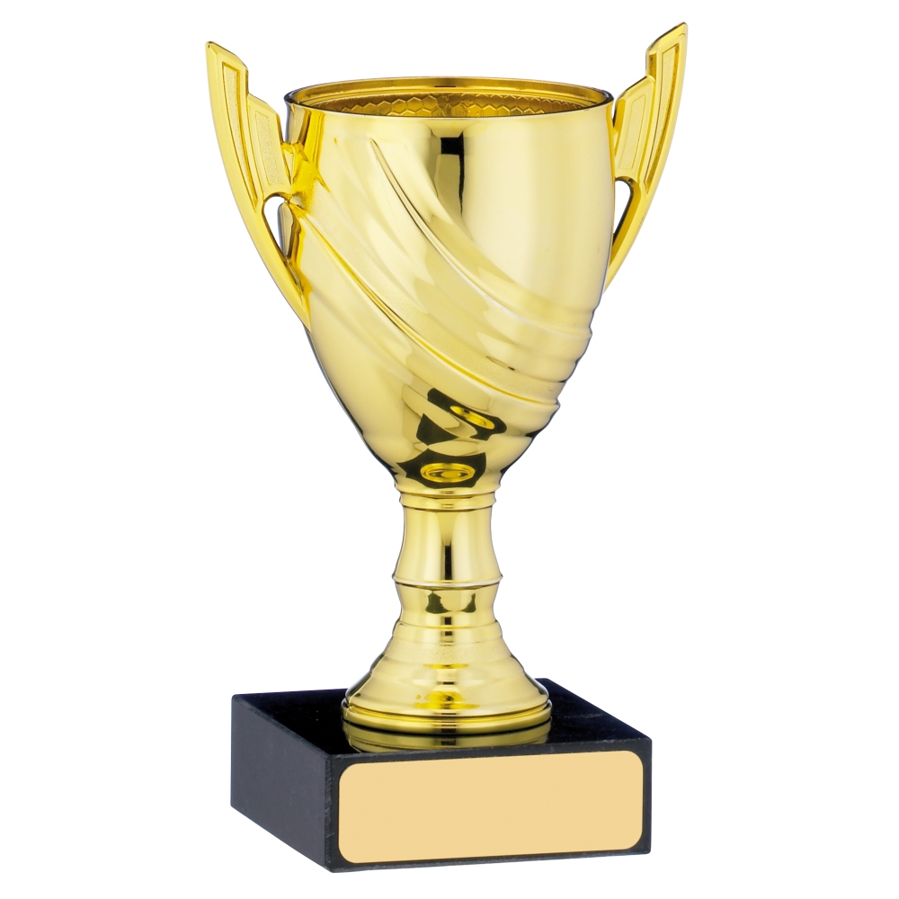 School Economy Cup Trophy