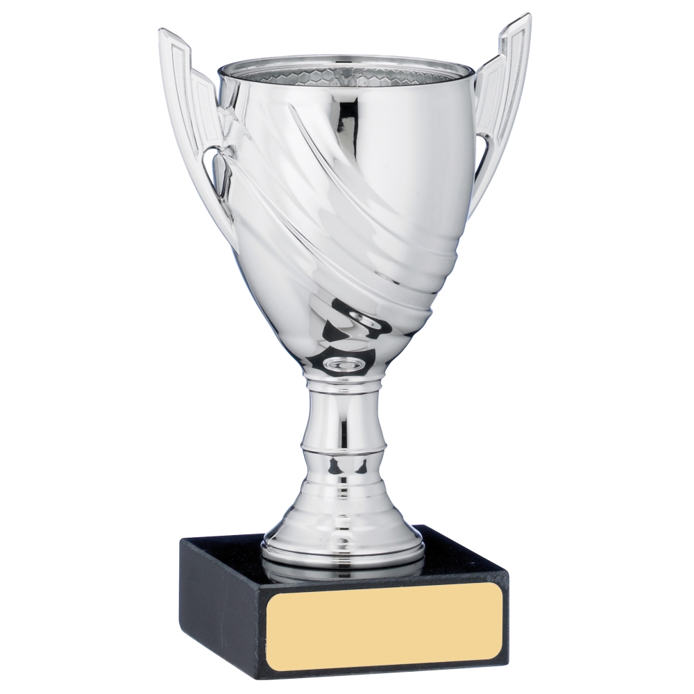 School Economy Cup Trophy