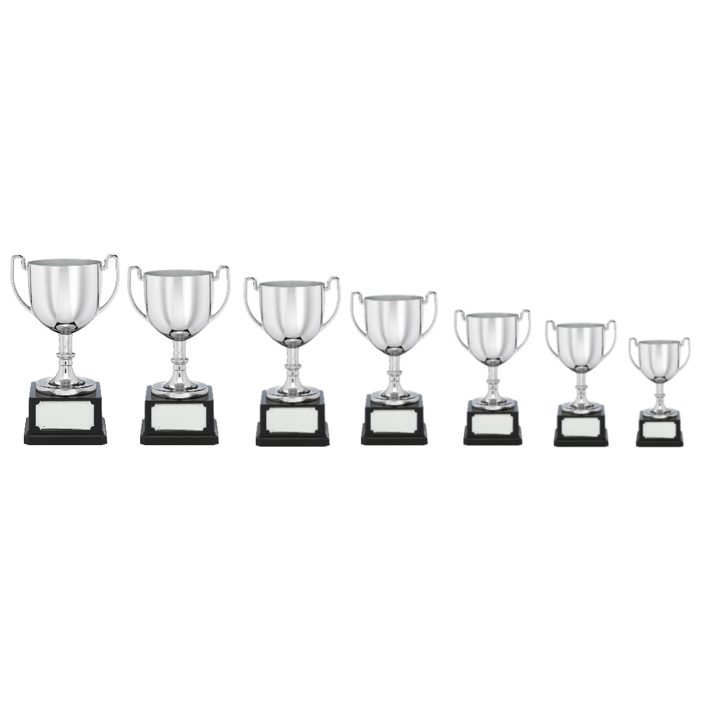 Nickel Plated Cast Presentation Cup