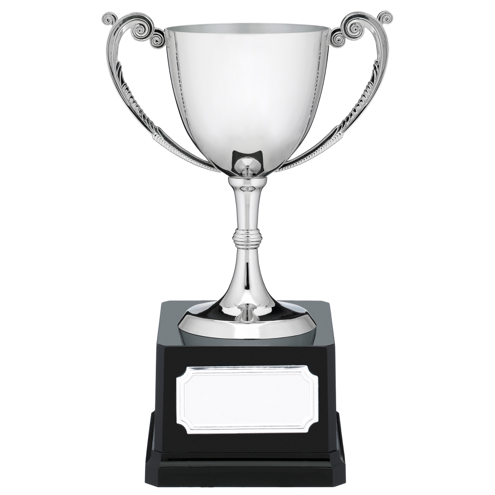 Nickel Plated Cast Presentation Cup