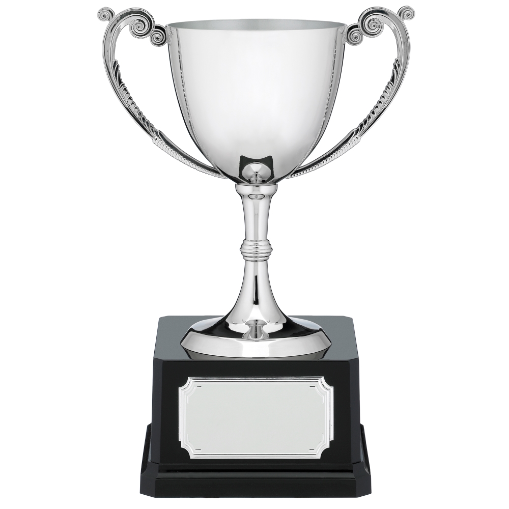 Nickel Plated Cast Presentation Cup