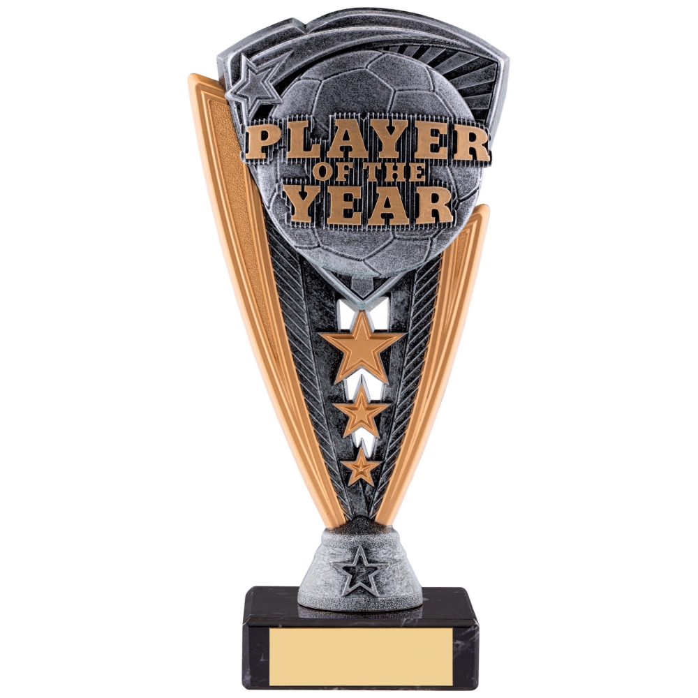 Player of the Year