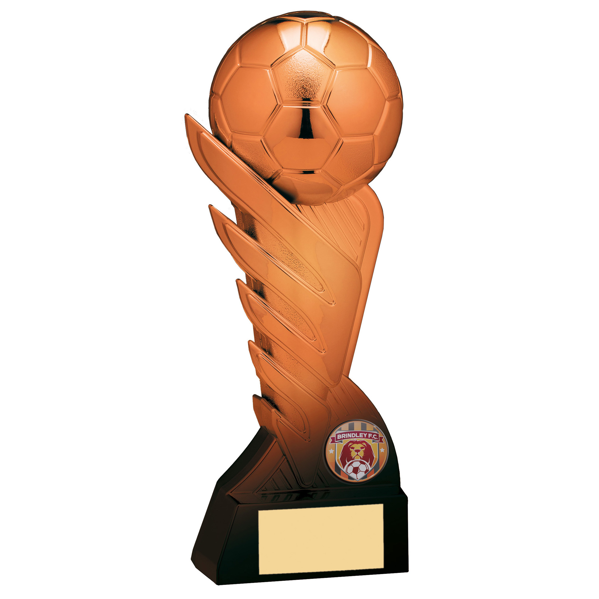 Pegasus Football Trophy B